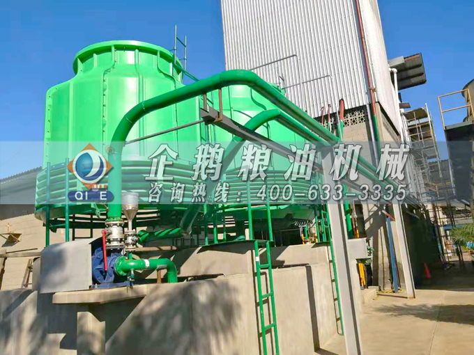如何投資建設(shè)棕櫚油加工廠？企鵝糧油機(jī)械在線為您答疑解惑(圖3)