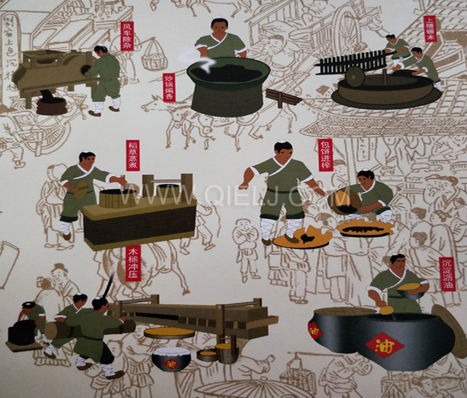 芝麻油提取加工，企鵝糧油機(jī)械生產(chǎn)色香味俱佳的油脂(圖2)